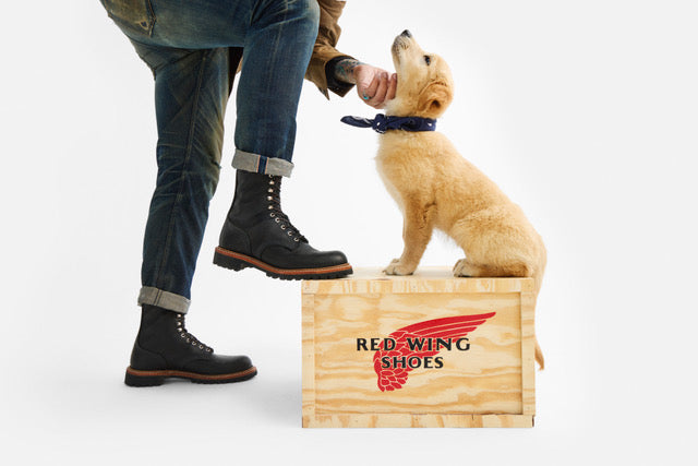 Red Wing Shoes Roughneck 2949 Black oil slick Vibram TC4+