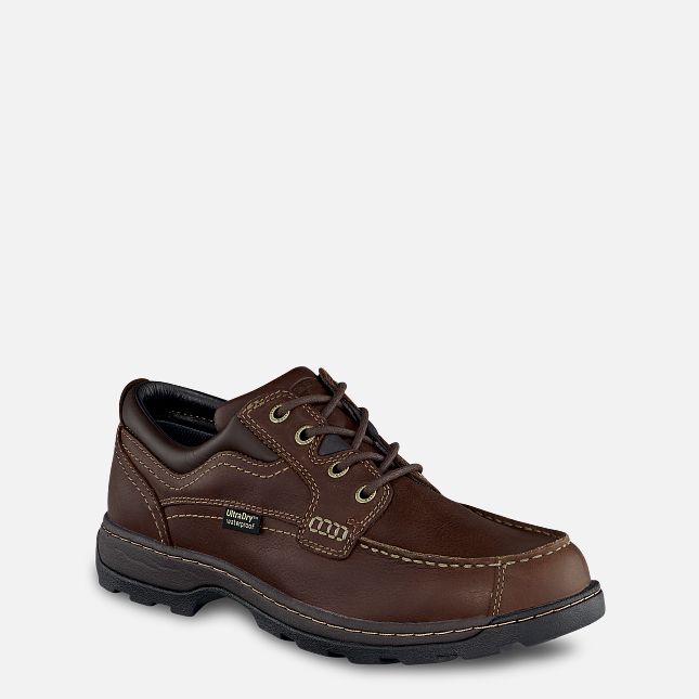 Irish Setter Soft Paw E2 (Bredere Bredde)