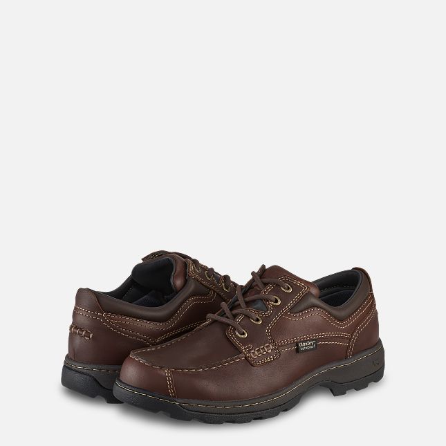 Irish Setter Soft Paw E2 (Bredere Bredde)