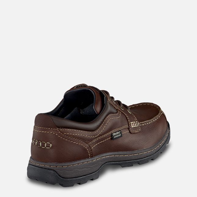 Irish Setter Soft Paw E2 (Bredere Bredde)